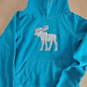 Abercrombie and Fitch Hoodie